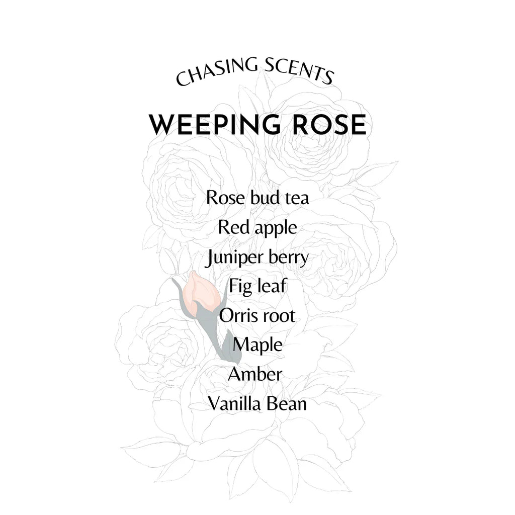 WEEPING ROSE CHASING SCENTS