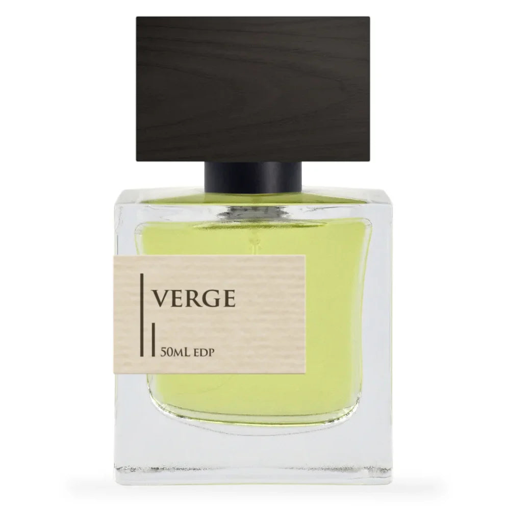VERGE Criminal Elements