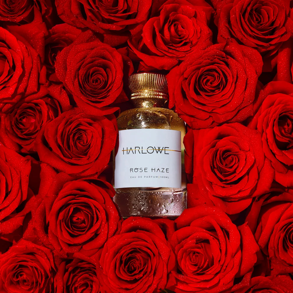 Rose Haze Harlowe
