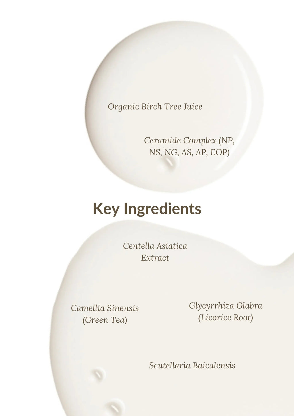 First Date Glazing Milky Toner